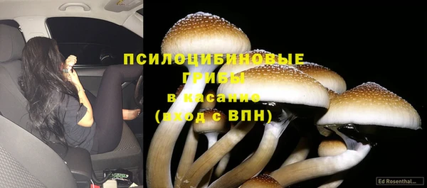 марки nbome Гусиноозёрск
