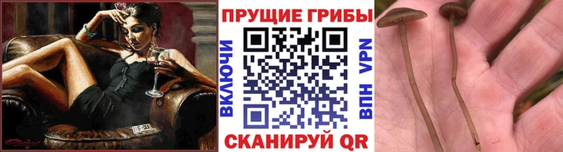 Галлюциногенные грибы GOLDEN TEACHER  hydra вход  Черепаново  хочу наркоту 